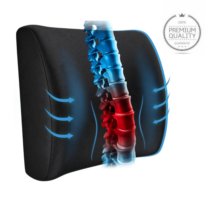 Back Support Pillow